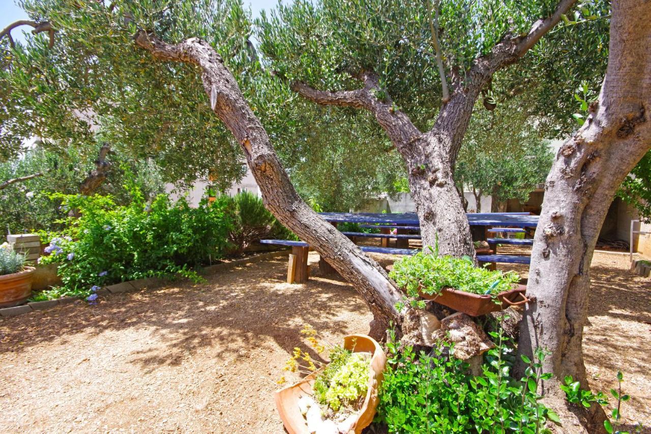 Matanovi Dvori Md Apartments Makarska Bagian luar foto